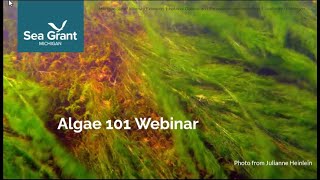 Michigan Algae 101 Webinar 2024 [upl. by Miza559]