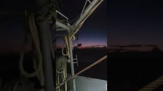 Texas Sunrise fishing shrimplife seafood livebaitfishing shrimp ocean shrimpfood crustacean [upl. by Melan]