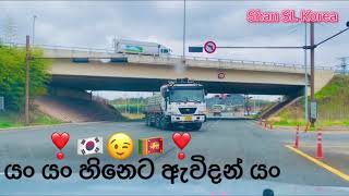 Yan Yan hineta awidan Yan  යං යං හිනෙට ඇවිදන් යං ❣️🇰🇷😉🇱🇰❣️ Shan SL Korea [upl. by Kcirrag]