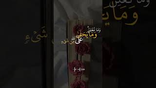 يارب امور ميسره وقلب مطمئن🤎قران quran اجرليولك لايك اكسبلور [upl. by Damara]