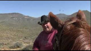 Observing a Bull Working a Cow in Heat [upl. by Prager]