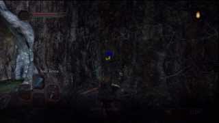 Dark Souls 2 How To Find Snuggly The Crow  Snuggly Crows Location [upl. by Eloisa]