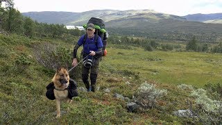 Fjällvandring Gäddede  Jäckvik del 1 [upl. by Enitsenre213]