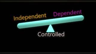 Super Short Independent Dependent and Controlled Variables Song [upl. by Towney667]