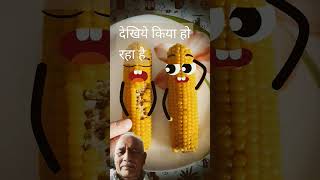 Bade miya chotemiya doodletoons corn doodletales food halloween comedy doodletime [upl. by Yc]