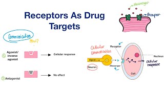 Lecture 7 Pharmacodynamics Receptors for Drug Action [upl. by Congdon]