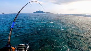 FEEDING FRENZY Skipjack Tuna Mackerel  Rock Fishing  Light Tackle [upl. by Norrie]