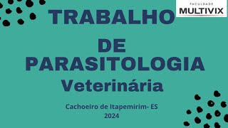 Trabalho de parasitologia veterinária Dirofilaria immitis 4º periódo 2024 [upl. by Khoury]