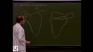 MS 1  Ceinture scapulaire articulations de lépaule Shoulder girdle shoulder [upl. by Atteuqnas969]