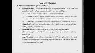 Role of Glycans in Physiology and Disease [upl. by Yasmin]