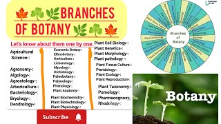 Branches of botany 🌿☘️🍁 scienceBiologyBotany 🌿 [upl. by Robinetta]