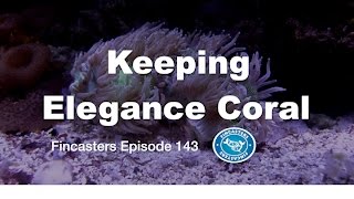 Keeping Elegance Coral Fincasters Episode 143 [upl. by Galvin]