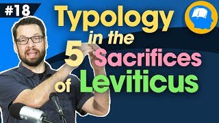 Typology in the 5 Sacrifices of Leviticus How to find Jesus in the OT pt 18 [upl. by Buerger]