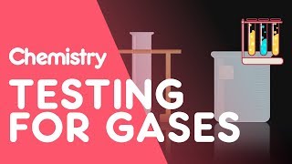 Testing for Hydrogen Oxygen Carbon Dioxide Ammonia and Chlorine  Tests  Chemistry  FuseSchool [upl. by Sola514]