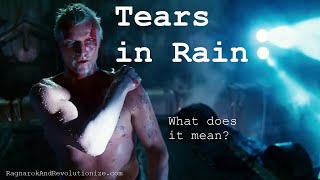 Tears in Rain A Journey to Self Awareness Blade Runner Film Analysis [upl. by Lucias]