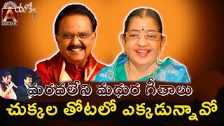 Chukkala Thotalo yekkadunnavo చుక్కల తోటలో ఎక్కడున్నావో [upl. by Ttereve334]