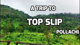 Top Slip  A Trip to Top Slip Pollachi  Parambikulam Tiger Reserve [upl. by Aneeuqal670]