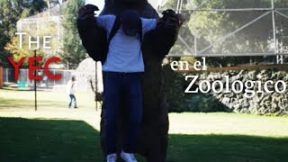 Visita sorpresa al zoológico muchas serpientes CasiVlog 10 [upl. by Yadsendew]