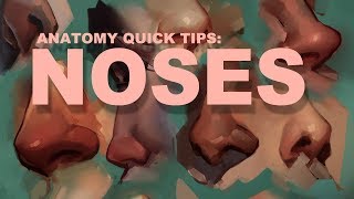 Anatomy Quick Tips Noses [upl. by Watkins779]