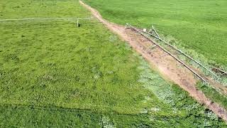 Condition report rural land Muswellbrook NSW 7824 [upl. by Efren]