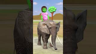 Tiger 🐯 or hathi 🐘 to h anaya ke pas lekin papa ko mummy se dar lagta h papa tiger elephant [upl. by Hairej]