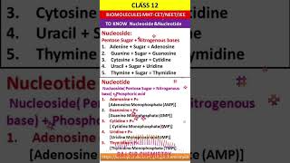 nucleotides structurebiomolecules biomoleculespyq [upl. by Kennet]