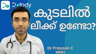 കുടലിൽ ലീക്ക് ഉണ്ടാകുമോ 😩 Leaky Gut What Are the Symptoms Causes and Treatments 🩺 Malayalam [upl. by Ellesirg]