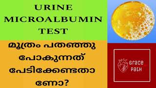 Urine Microalbumin Test  Urine Albumin Creatinine Ratio  uACR Malayalam [upl. by Barbaresi96]