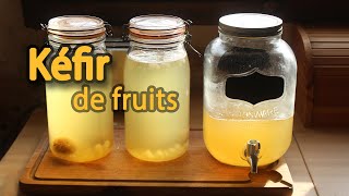 Le kéfir de fruits ou tibicos une limonade maison saine et facile à faire [upl. by Ayokal]