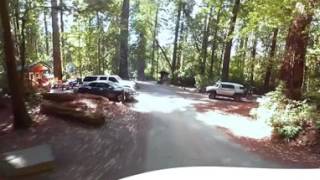 Jedediah Smith Campground Jedediah Smith Redwoods State Park  360 Video Virtual Tour 4K [upl. by Imoen]