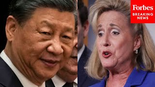 This Would Play Right Into Chinas Hands Ann Wagner Shoots Down Dems Legislation [upl. by Niwri]