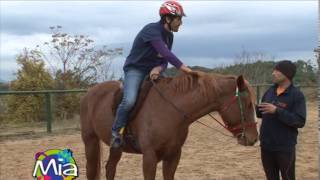 Cavallo i primi passi in sella [upl. by Adnavoj292]