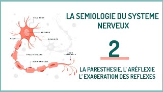 EPISODE 2 La sémiologie neurologique LA PARESTHESIE L’ ARÉFLEXIE L’ EXAGERATION DES REFLEXES [upl. by Nivonod]