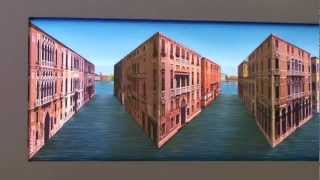 Vibrant Venice  Patrick Hughes Winsor Gallery PERSPECTIVARIATIONS [upl. by Rudich]