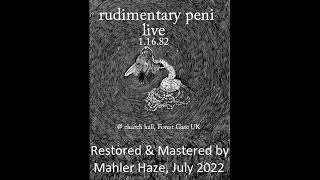 Rudimentary Peni UK Live  Church Hall Forest Gate UK January 16th 1982 2022 Remaster [upl. by Maritsa]