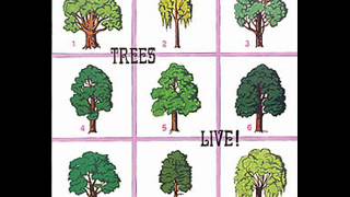 Trees  Prince Heathen 1973 from Trees Live LP [upl. by Sonni22]