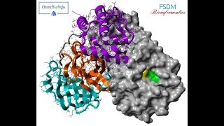 01 Docking molecular with Autodock الالتحام الجزيئي [upl. by Rosmarin629]