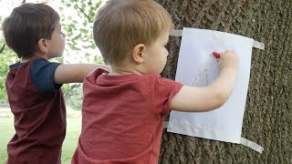 Tree Bark Rubbing  Outdoor Activities 1 [upl. by Anaujat662]