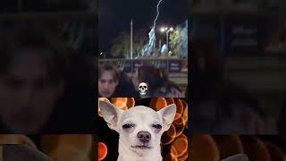 CHIHUAHUA REACTS MYSTERIOUS LIGHTNING STRIKE⚡🐶💀 WHAT JUST HAPPENED SHOCKINGTRICK chihuahua [upl. by Gilliam]