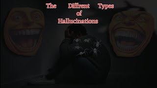 What Is Each Hallucination Type Like [upl. by Akenet]