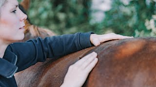 Massieren dehnen mobilisieren Wie du deinem Pferd jeden Tag Gutes tun kannst  wehorse [upl. by Rothstein]