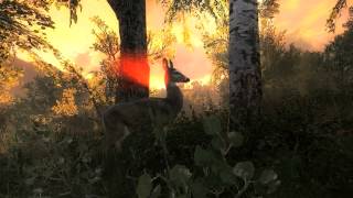 theHunter Classic  Official Trailer HD [upl. by Oicneserc]