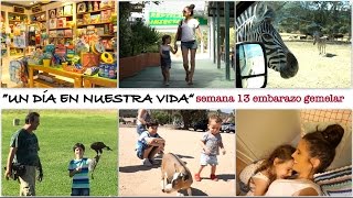 Vlog diario  SEMANA 13 EMBARAZO GEMELAR  La postquedada de Safari y vuelta a Pamplona [upl. by Ilyse]