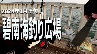 【碧南海釣り広場】アジが釣れた [upl. by Carlie]