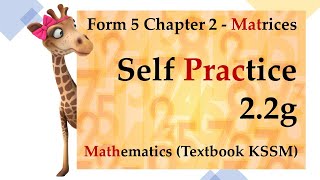 Form 5 Mathematics KSSM Chapter 2  Matrices  Self Practice 22g [upl. by Merideth]