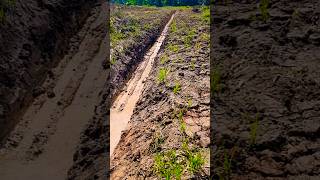 Drenajes para plantaciónes agrícolas [upl. by Ynaffital562]