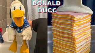 BEST DONALDDUCC TikTok Compilation 2023 2  Best Donald Ducc TikTok Reactions [upl. by Limak]