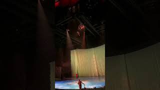 …there goes Aurel jumping off the highest diving board at OCirque 🏊  Cirque du Soleil [upl. by Milah]