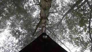 Ardennes sojourn camping wildlife bushcraft and plash palatka [upl. by Ecnatsnoc]