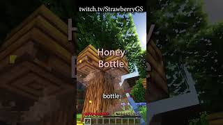 Honey Bottle  Short Shorts by StrawberryGS  Minecraft Entity instructions [upl. by Annoirb620]